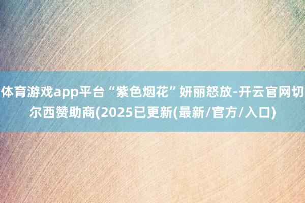 体育游戏app平台“紫色烟花”妍丽怒放-开云官网切尔西赞助商
