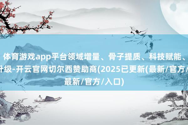体育游戏app平台领域增量、骨子提质、科技赋能、办事升级-开云官网切尔西赞助商(2025已更新(最新/官方/入口)