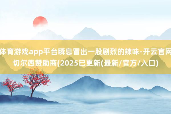 体育游戏app平台瞬息冒出一股剧烈的辣味-开云官网切尔西赞助商(2025已更新(最新/官方/入口)