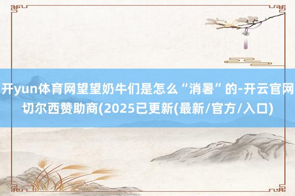 开yun体育网望望奶牛们是怎么“消暑”的-开云官网切尔西赞助商(2025已更新(最新/官方/入口)